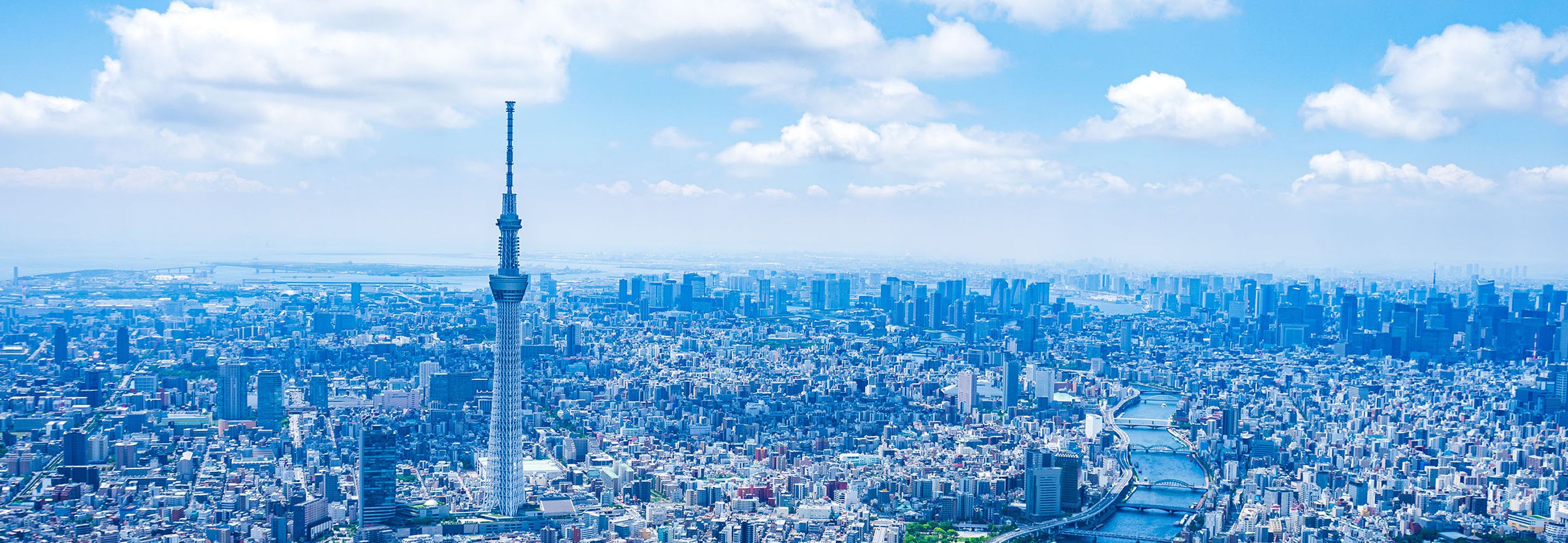 数字で見る東武電設工業