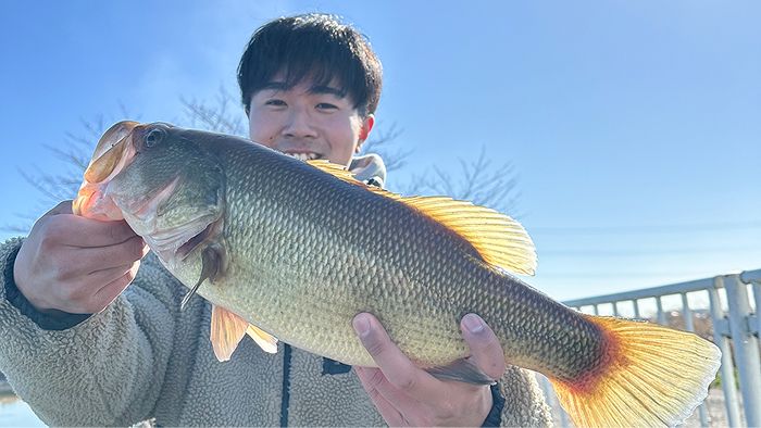 私のワンシーン